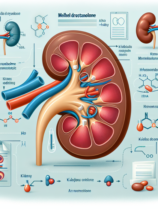Methyl drostanolon und Nierenfunktion: Renale Aspekte des Steroids beachten