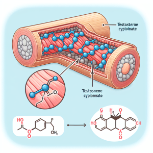 Wie Testosteron cypionat die Glykogenspeicherung in trainierten Muskeln beeinflusst